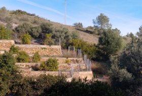 Sumacàrcer 49728&nbsp;m² 