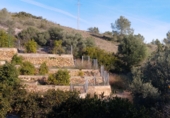 Terreno no urbanizable en venta en Sumacàrcer ref: TR403189 foto