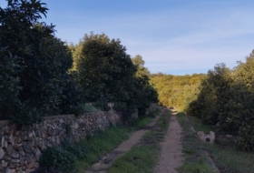 Sumacàrcer 49728&nbsp;m² 