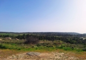 Chalet independiente con terreno en venta en El Hoyo de Pinares ref: TR405077 foto