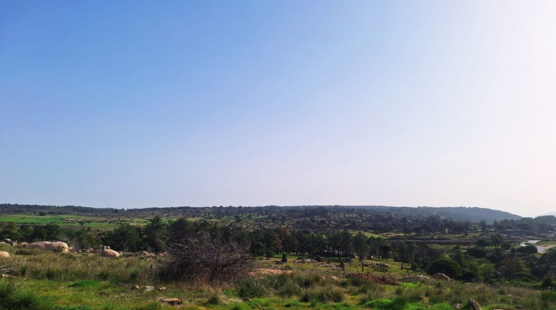 Ávila - El Hoyo de Pinares - 600m2