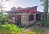 Chalet independiente con terreno en venta en El Hoyo de Pinares ref: TR405077 foto