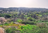 Chalet independiente con terreno en venta en El Hoyo de Pinares ref: TR405077 foto
