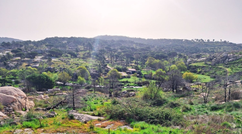 Ávila - El Hoyo de Pinares - 600m2