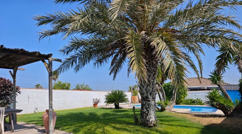 Cadiz - Chiclana de la Frontera - 610m2