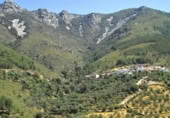 Village house for sale on Calle Carretera, Cabezo, ref: TR75241 photo
