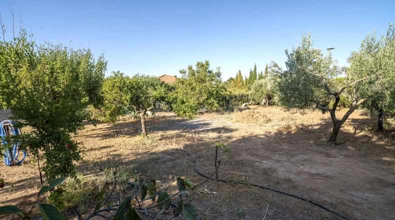 Jaén - Линарес - 2200m2