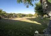 Vil·la amb terreny en venda a la España, Linares, ref.: TR402854 foto