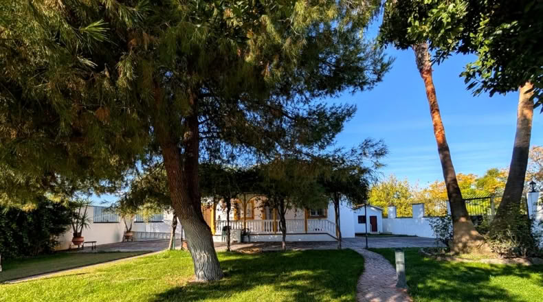 Jaén - Linares - 22243m2