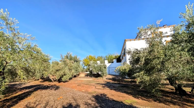 Jaén - Linares - 22243m2