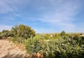 Vil·la amb terreny en venda a la España, Loja, ref.: TR357537 foto