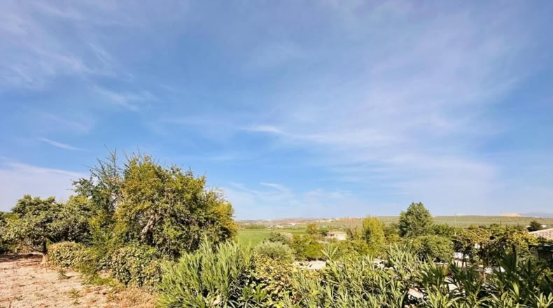 Granada - Loja - 4500m2