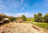 Vil·la amb terreny en venda a la España, Loja, ref.: TR357537 foto