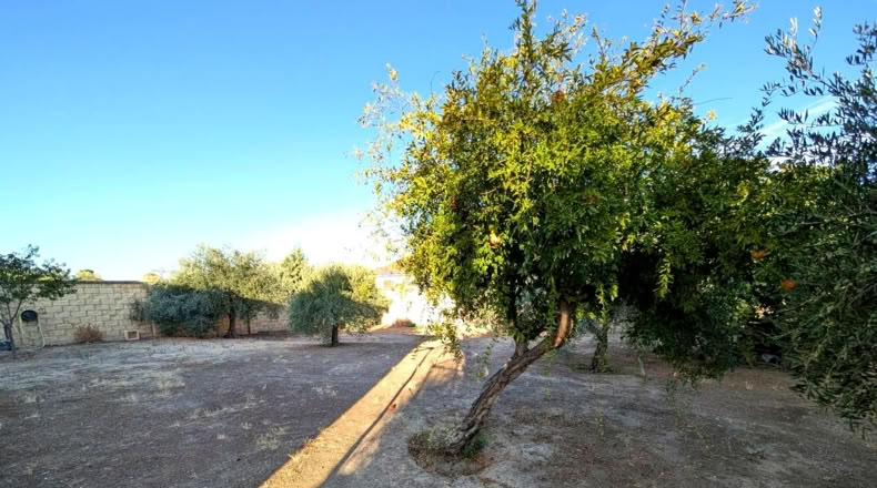 Хаэн - Linares - 1350m2