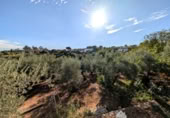 Casa de camp amb terreny en venda a la España, Linares, ref.: TR350746 foto