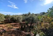 Casa de camp amb terreny en venda a la España, Linares, ref.: TR350746 foto