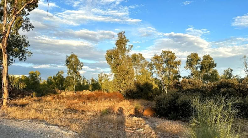 Jaen - Linares - 1220m2