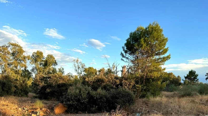 Jaen - Linares - 1220m2