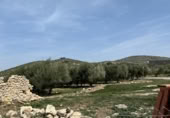 Country house with land for sale on España, Benalúa de las Villas, ref: TR348673 photo