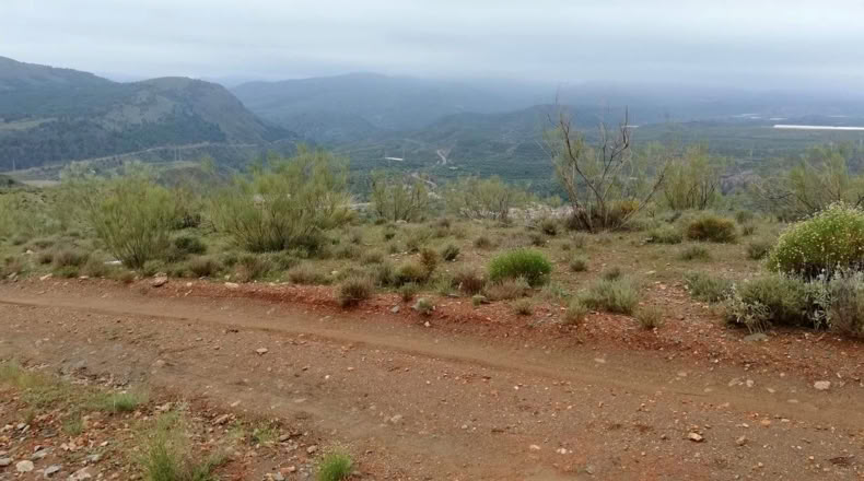 Granada - Ugíjar - 198767m2