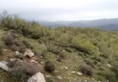 Country house with land for sale on España, Ugíjar, ref: TR346788 photo