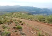 Country house with land for sale on España, Ugíjar, ref: TR346788 photo