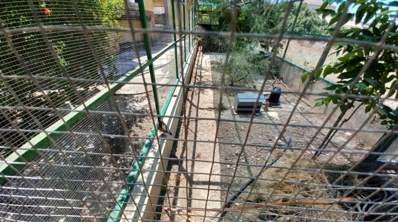 Granada - Cortes de Baza - 2000m2