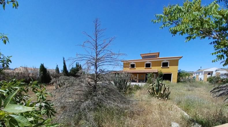 Granada - Cortes de Baza - 2000m2