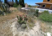 Casa de camp amb terreny en venda a la España, Cortes de Baza, ref.: TR341979 foto