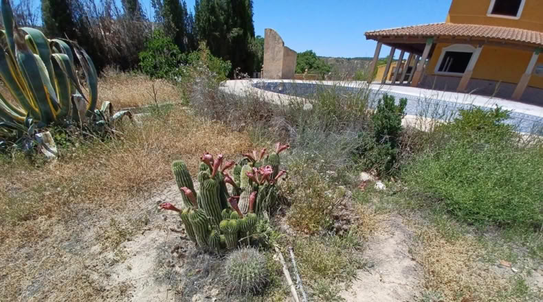 Granada - Cortes de Baza - 2000m2