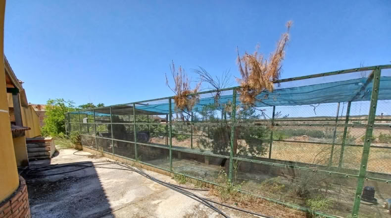 Granada - Cortes de Baza - 2000m2