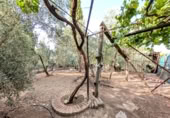 Casa de camp amb terreny en venda a la España, Linares, ref.: TR315883 foto