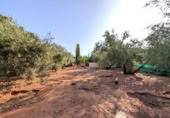 Casa de camp amb terreny en venda a la España, Linares, ref.: TR315883 foto