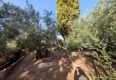 Casa de camp amb terreny en venda a la España, Linares, ref.: TR315883 foto