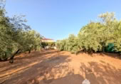 Casa de camp amb terreny en venda a la España, Linares, ref.: TR315883 foto