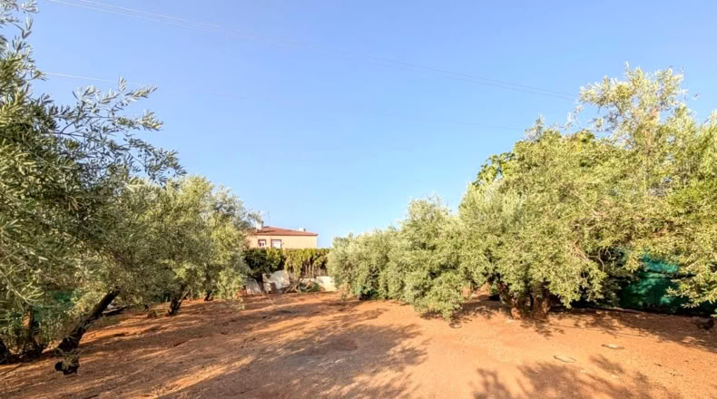 Хаэн - Linares - 1200m2