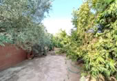 Casa de camp amb terreny en venda a la España, Linares, ref.: TR315883 foto