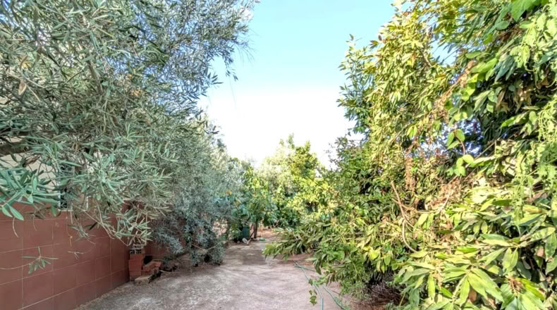 Хаэн - Linares - 1200m2