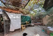 Casa de camp amb terreny en venda a la España, Linares, ref.: TR315883 foto