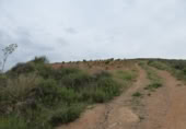 Sòl urbà en venda a la España, Huétor Vega, ref.: TR308869 foto