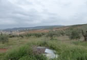 Sòl urbà en venda a la España, Huétor Vega, ref.: TR308869 foto