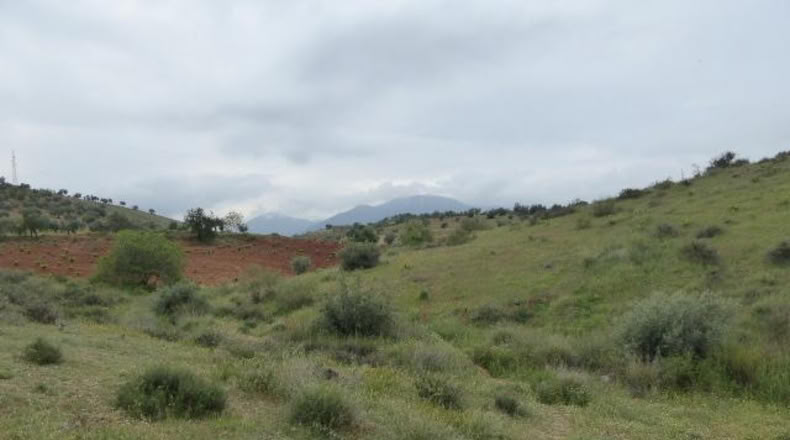 Granada - Huétor Vega - 44595m2