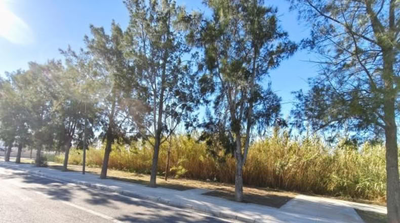 Granada - Motril - 350m2