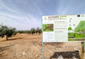 Terreny no urbanitzable en venda a la España, Linares, ref.: TR258459 foto