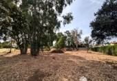 Sòl urbà en venda a la España, Linares, ref.: TR254696 foto