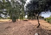 Sòl urbà en venda a la España, Linares, ref.: TR254696 foto