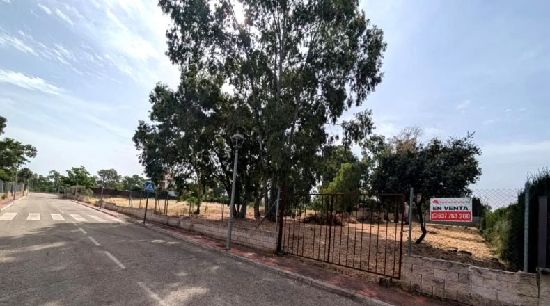 Jaen - Linares - 1281m2