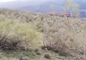 Country house with land for sale on España, Ugíjar, ref: TR233926 photo