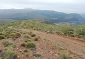 Country house with land for sale on España, Ugíjar, ref: TR233926 photo