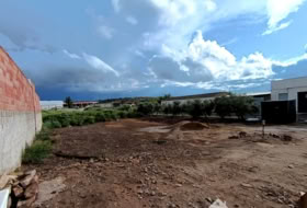Foto 7